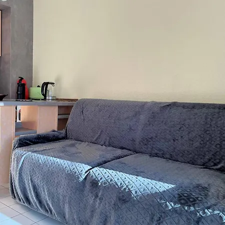 Apartman 4 Pers Avec Terrasse, Clim Et Parking Au Lavandou - Fr-1-251-431