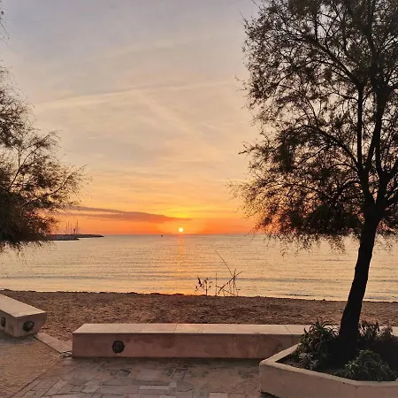 4 Pers Avec Terrasse, Clim Et Parking Au Lavandou - Fr-1-251-431