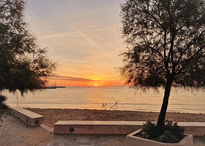 4 Pers Avec Terrasse, Clim Et Parking Au Lavandou - Fr-1-251-431