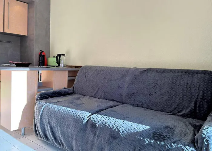 Apartman 4 Pers Avec Terrasse, Clim Et Parking Au Lavandou - Fr-1-251-431